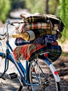 Blue Bicycle, Plaid Blankets, Company Picnic, Tartan Blanket, Vintage Camping, Camping Blanket, Back To Nature, Summer Picnic