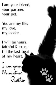 a black cat with paw prints on it's chest and the words i am your friend, your partner, your pet