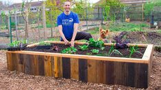 a man kneeling down next to a raised garden bed with plants in it and a dog standing on the other side