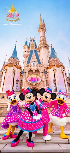 mickey and minnie mouse in front of the castle