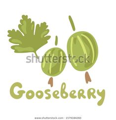 goseberry with leaves and the word goseberry written in cursive writing