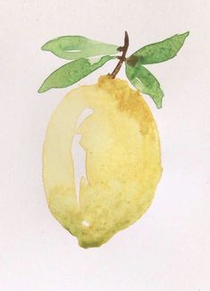 a drawing of a lemon with green leaves on it