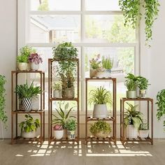 a room filled with lots of potted plants on top of shelves next to a window