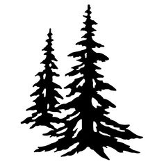 black and white silhouette of two pine trees on a white background, one is tall