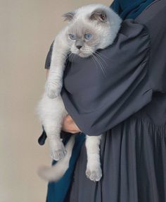 a white cat is being held by a woman in a blue dress and holding it's owner