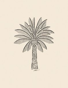 a black and white drawing of a palm tree