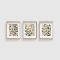 three framed paintings hanging on the wall next to each other, with plants in them