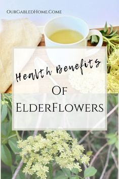 a cup of elderflower tea with the words health benefits of elderflowers on it