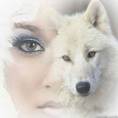 a white wolf with blue eyes and long eyelashes is next to a woman's face