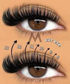 Hybrid Cat Eye Lash Map, Kitten Eye Mapping, Lash Numbers, Cat Eye Lash Map Clusters, Eyelash Mapping Styles, Cluster Lash Map, Cluster Map, Moms Makeup