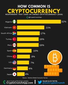 an info graphic showing how common is crypt currency?