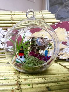 a glass ball filled with plants on top of a table