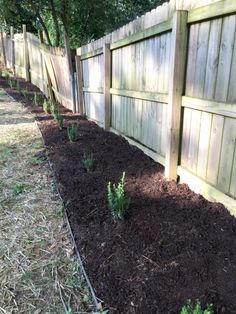 a wooden fence with mulch around it