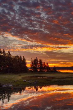 the sun is setting over some trees and water