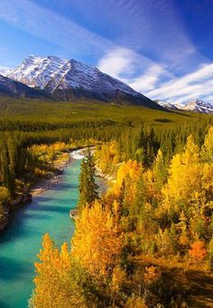 a river running through a lush green forest under a snow covered mountain range in autumn