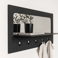 three potted plants sit on a shelf above a mirror and coat rack with hooks