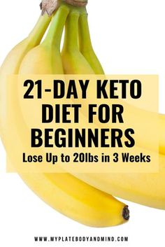 Smoothie Fruit, Breakfast Low Carb, Keto Lasagna, Postre Keto, Keto Diet Guide, Keto Pancakes, Diet For Beginners, Ketogenic Diet For Beginners