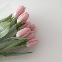 a bouquet of pink tulips on a white surface