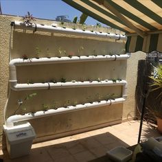 a wall mounted planter with plants growing in it on the side of a building