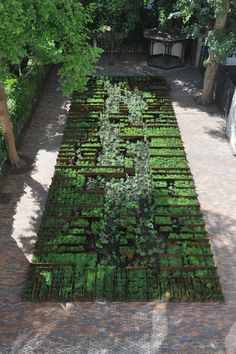 an aerial view of a garden with many plants