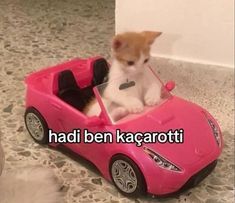 a kitten sitting in a pink toy car on the floor with caption that reads, hadi ben kacaroti