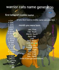 an image of some cats with names on them