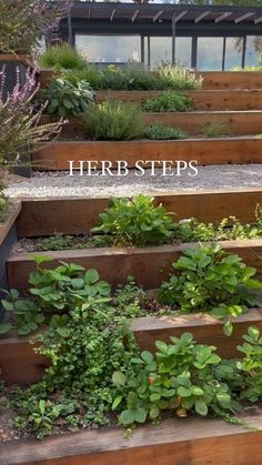 several wooden steps with plants growing on them and the words herb steps written in white