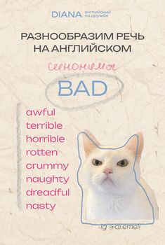 a white cat with the words bad written on it