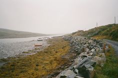 there are many boats on the water and rocks along this shore line with green grass in the foreground