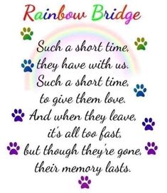 Kitty Memorial, Pet Quotes Dog, Pet Poems, I Miss My Cat, Dog Quotes Love