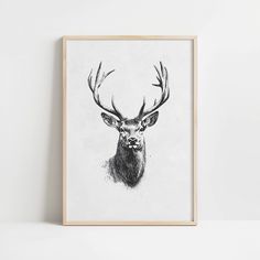 a black and white drawing of a deer with antlers on it's head