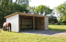 a horse standing in the grass next to a shed with its door open and it's head inside