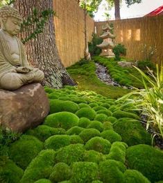 a buddha statue sitting on top of a moss covered rock in the middle of a garden