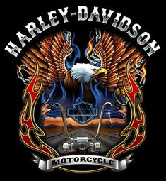 harley davidson motorcycle with an eagle on it