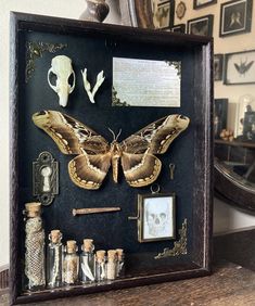 a shadow box with an insect and other items in it on top of a wooden table