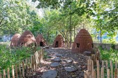 a group of wooden huts sitting in the middle of a forest