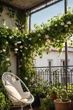 "Turn your balcony into a blooming retreat with these stunning garden ideas! Perfect for small spaces, these designs fill your outdoor area with lush plants and vibrant flowers. Create a tranquil hideaway where you can relax and enjoy nature all year round." Balcony Privacy