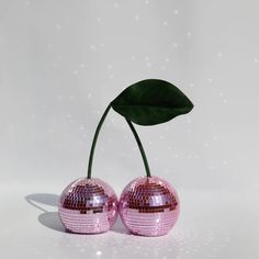 two shiny pink balls with a green leaf on top