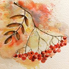 a watercolor painting of berries and leaves on white paper with orange, red and yellow colors