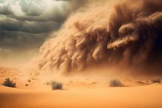 a large dust storm is coming in the desert