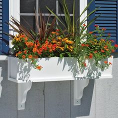 a window box with flowers in it and blue shutters on the side of a building