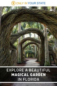 an image of the entrance to a tropical garden with text that reads explore a beautiful magic garden in florida