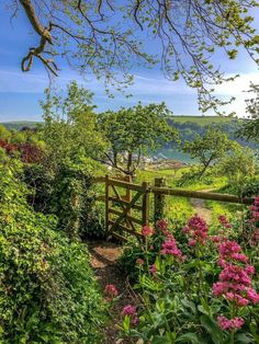 a wooden gate in the middle of a lush green field with pink flowers on either side