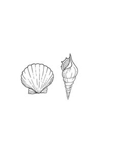 two seashells are shown in black and white, one is drawn on paper