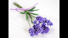 some purple flowers are laying on a white surface