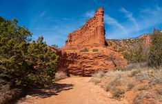 a dirt path in the middle of some trees and rocks with a large rock formation behind it