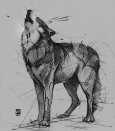 a drawing of a wolf standing on the ground