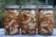 three mason jars filled with sliced apples on top of a wooden table next to bushes