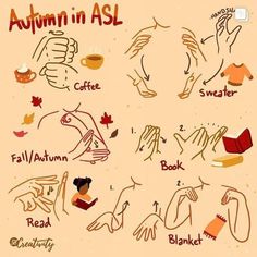 Light Orange Background, Asl Lessons