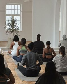 a group of people sitting on yoga mats in a room with windows and potted plants